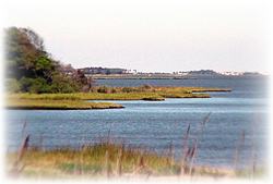 Jack Daggett Real Estate Sales, RE/MAX Realty Group, Rehoboth Beach, Bayville Shores, and Fenwick Island Delaware